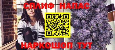 хмурый Сланцы